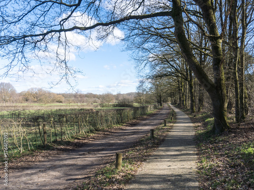 Unpaved road with a bicycle path through a Dutch landscape near Nijmegen  The Netherlands