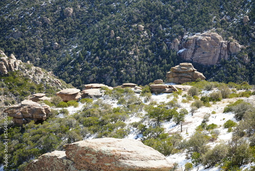 Snowy mountain with pine trees landscapes and natural winter scenes 