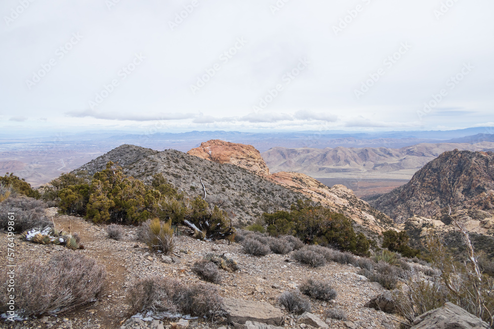 Desert landscape with mountain background and blue sky with white clouds
