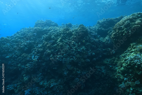 texture bottom sea abstract background underwater