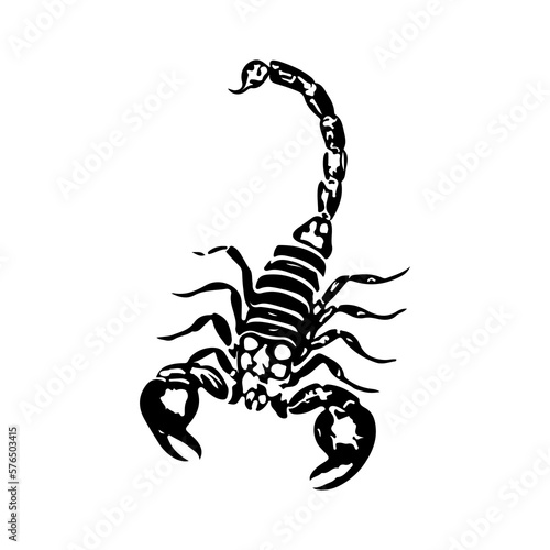 vector illustration of a black scorpion © ahmad yusup