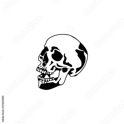 skull illustration vector with concept