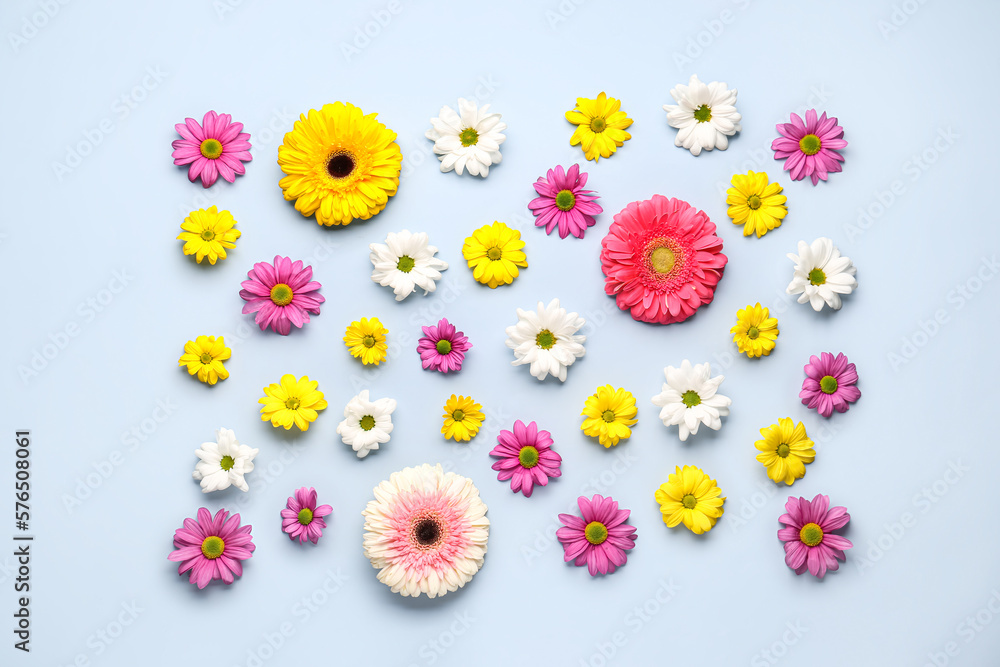 Beautiful composition with different flowers on light background