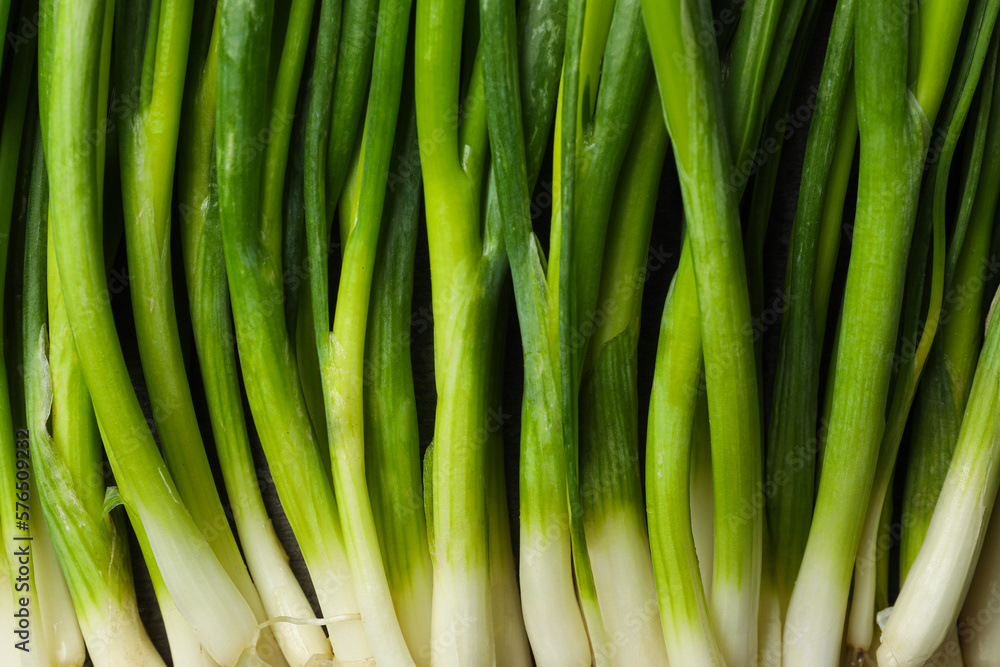 Fresh green spring onions as background, top view Fresh green spring onions as background, top view