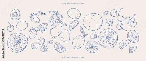 Stampa su tela Set of fresh fruits sketches