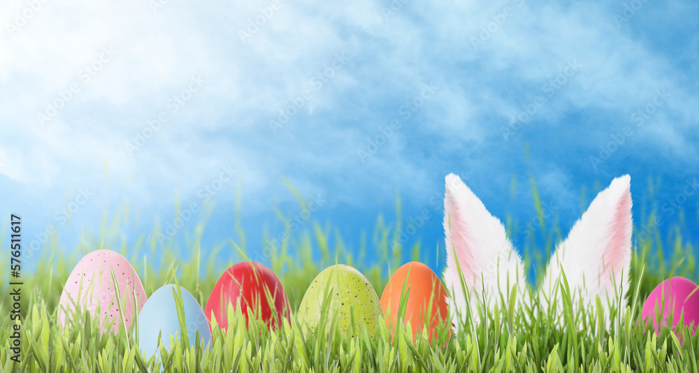 Easter celebration. Bunny hiding near painted eggs in green grass on sunny day