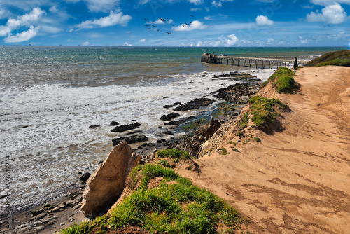 Obraz na plátně Exploring the Carpinteria bluffs trail and seal sanctuary