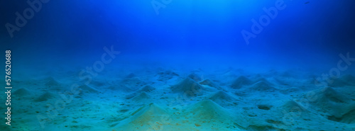 panorama coral reef underwater landscape seascape