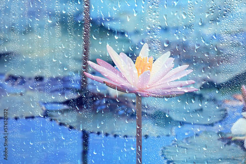 spring rain background flowers springtime ecosystem water drop effect