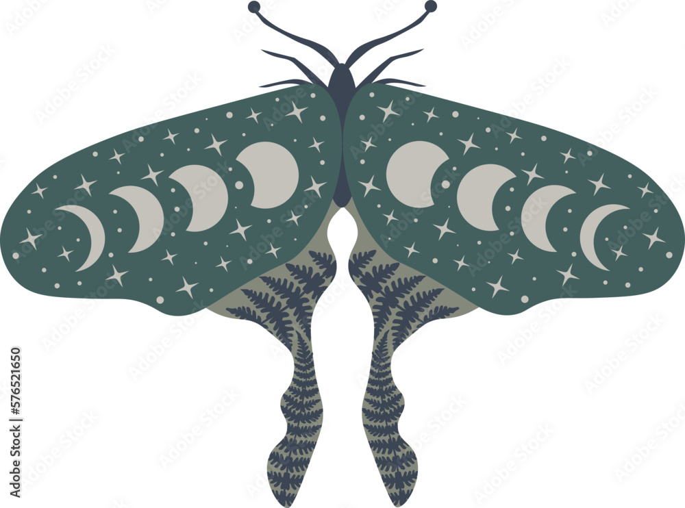 Celestial butterfly vector illustration. Mystical luna moth with moon ...