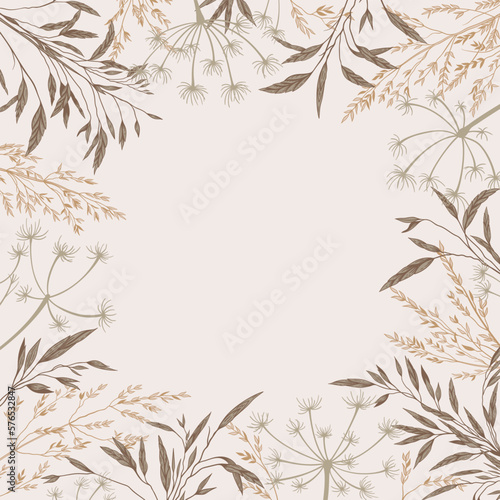 Square frame with plants. Botanical background with dry grass. natural beige tones. Vector illustration. Engraving. Layout border for invitations card  postcards  advertising  logos  covers  labels.
