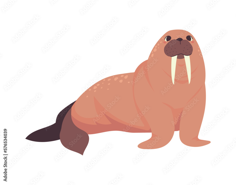 walrus arctic animal walrus arctic animal