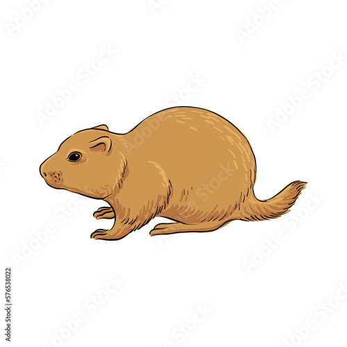 vector drawing sketch of animal, hand drawn ground squirrel, European souslik, isolated nature design element