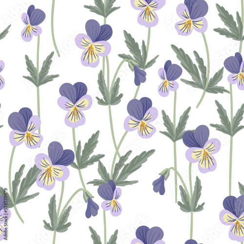 seamless pattern with wild pansy  viola tricolor  field flowers  vector drawing flowering plants at white background  floral elements  hand drawn botanical illustration