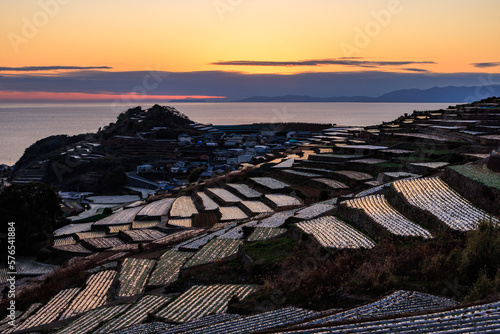 島原半島だんだん畑