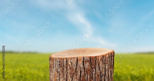 Blank wooden Podium on nature background