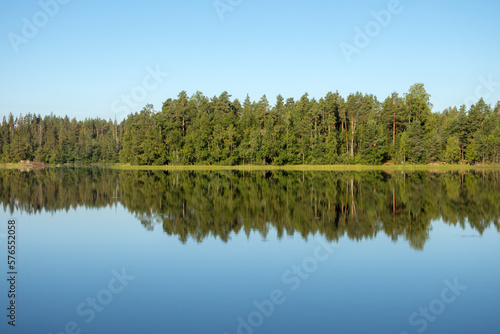 forest lake in summer