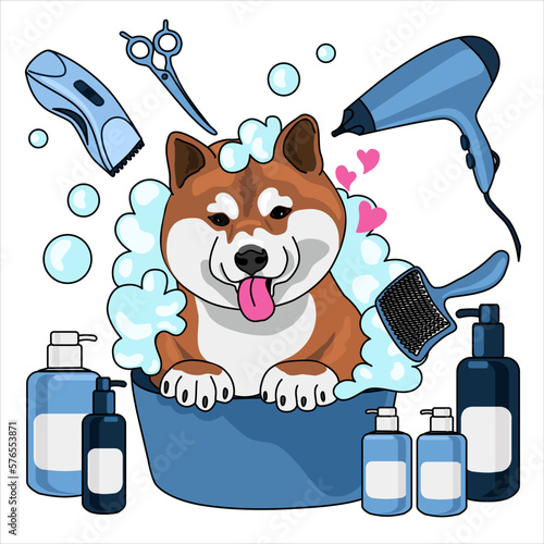 Pet care concept illustration. Grooming in the salon, mobile pet shop. Pet grooming service, clean and fluffy, bath, nail trims, haircuts.