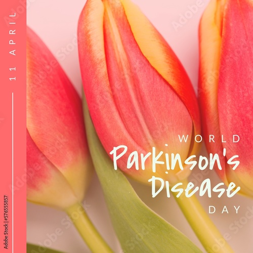 Image of world parkinson's day text over colourful flowers