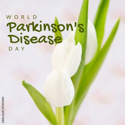 Image of world parkinson's day text over white flowers with copy space