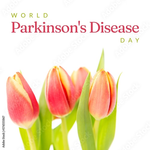 Image of world parkinson's day text over colourful flowers with copy space