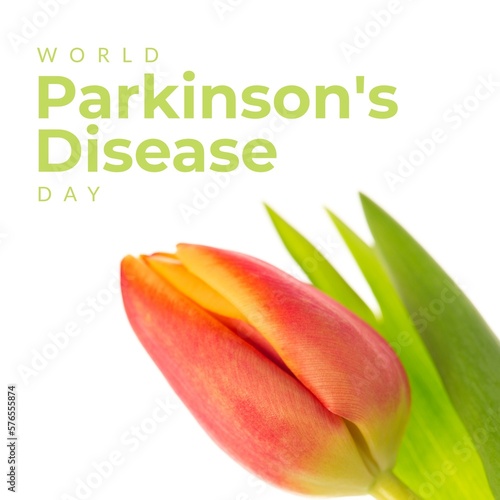 Image of world parkinson's day text over colourful flower with copy space