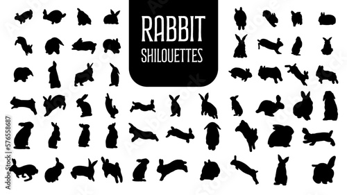 silhouettes of rabbits 