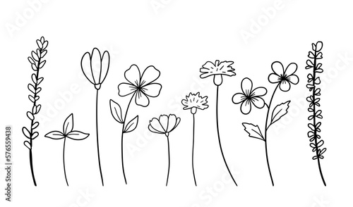Hand drawn wildflowers set. Vector outline sketch. Line art doodle isolated on white background