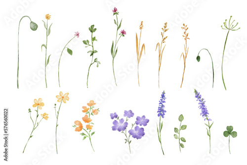 Tableau sur toile Hand drawn flower lavender
