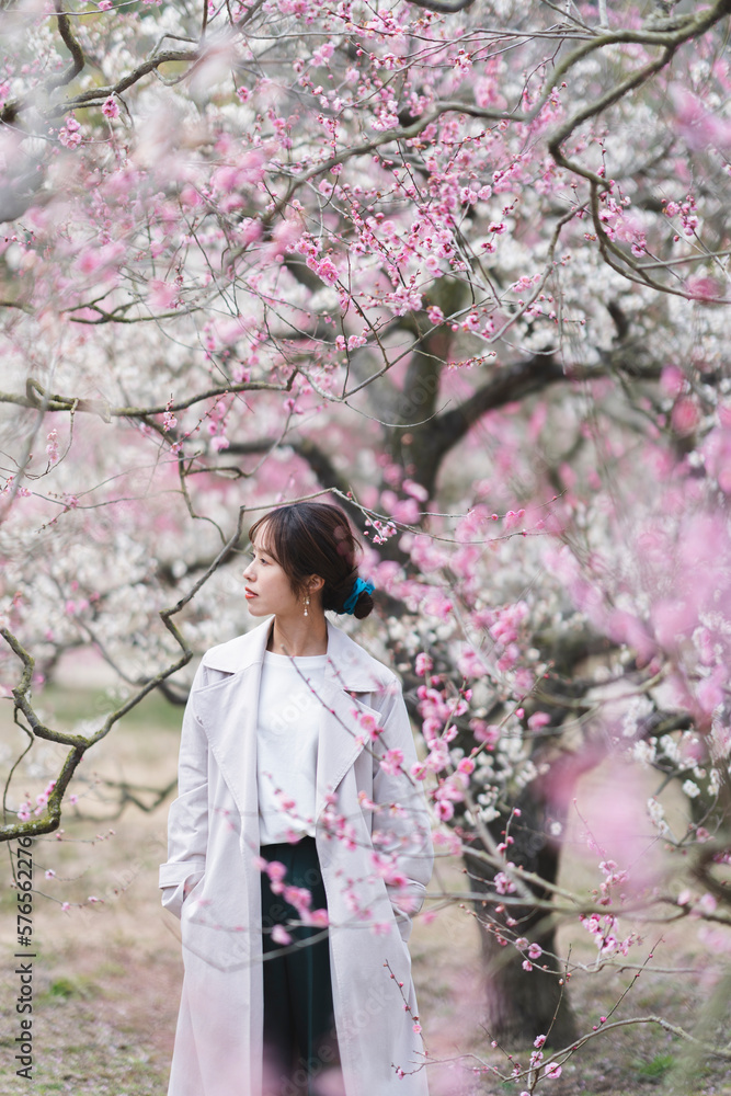 公園の梅の花と女性