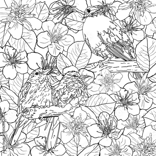 Wallpaper Mural Antistress coloring page. Beautiful little fluffy birds and a seagull in nature. Natural background of branches, leaves, blooming flowers. For tattoo, coloring, print, card, clothes, children game Torontodigital.ca