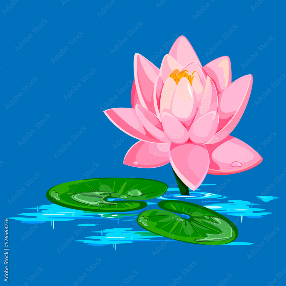 pink water lily in the swamp