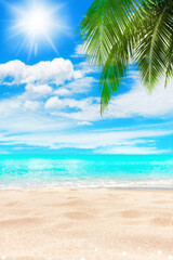 Tropical island paradise beach, green coconut palm tree leaf, sand, blue sea water turquoise ocean, sun sky white cloud, beautiful landscape, summer holidays, vacation, travel banner, empty copy space