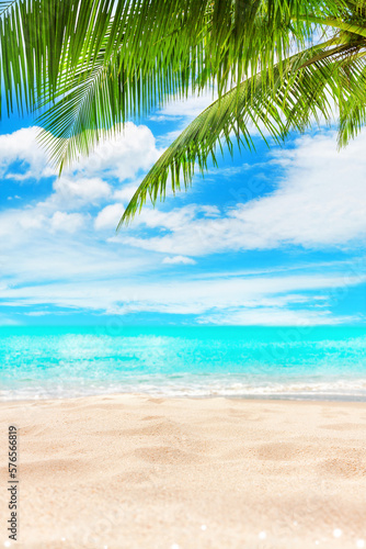 Tropical island paradise beach  green coconut palm tree leaf  sand  blue sea water turquoise ocean  sun sky white cloud  beautiful landscape  summer holidays  vacation  travel banner  empty copy space