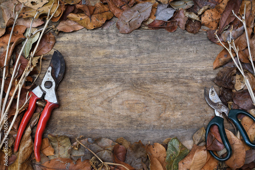 Border frame top view variety of dry wilted Autumn Fall leaves twigs two pruning tools rustic wooden background copy space