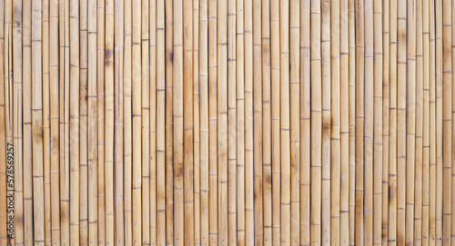 Yellow bamboo texture. Dried bamboo wall or fence background