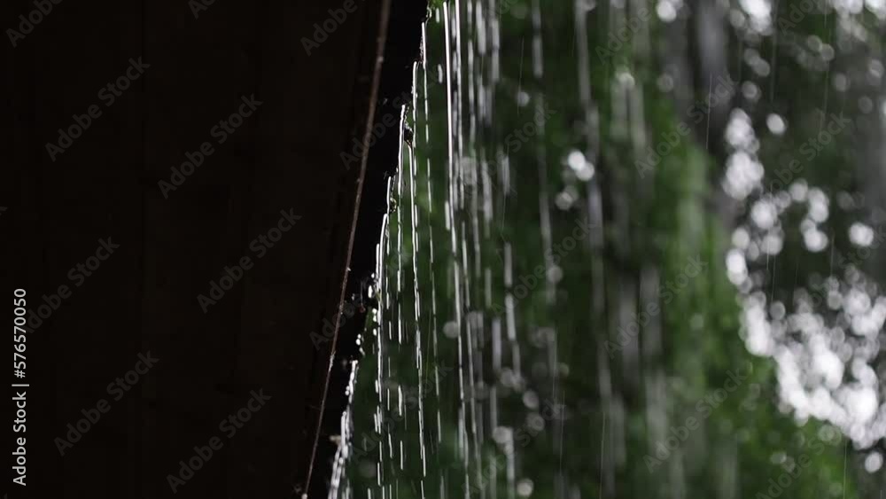 The rain, dripping drops from the roof. The rain, dripping drops from the roof.