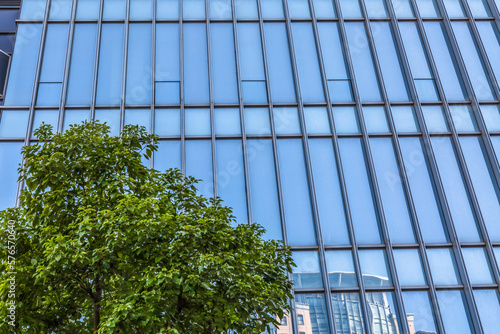 modern office building with green trees.