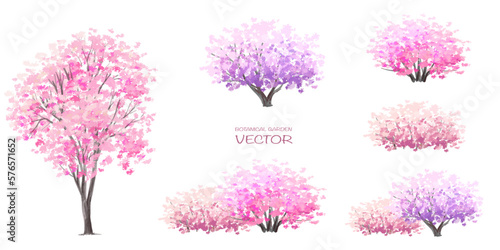  Vector watercolor blooming flower tree side view isolated on white background for landscape and architecture drawing, elements for environment and garden,botanical elements for section in spring 