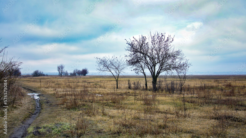 A small bare tree in the middle of a field in winter