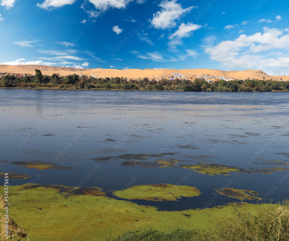 landscape of wetlands on the river nile in Aswan, Egypt
