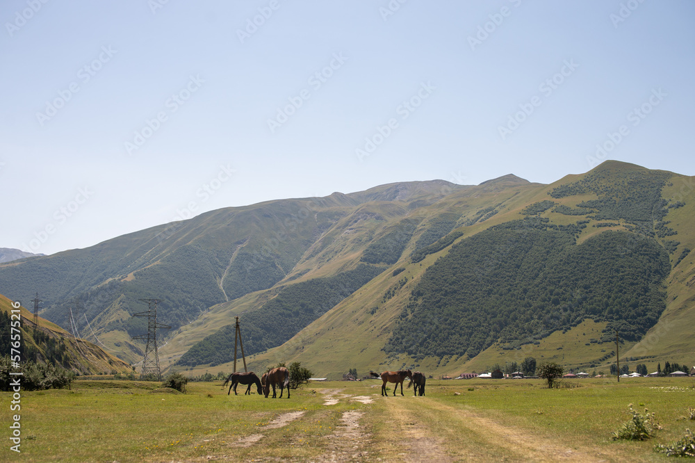View of a mountain village with a pasture of horses