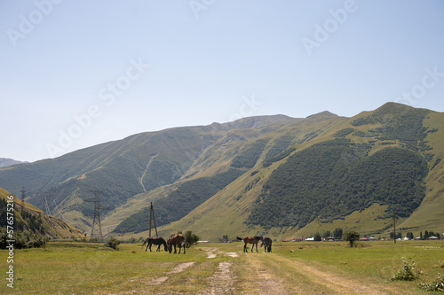 View of a mountain village with a pasture of horses