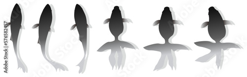 金魚　夏　夏祭り　アイコン