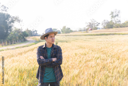 A farmer in a field of ripe wheat is planning a harvest.