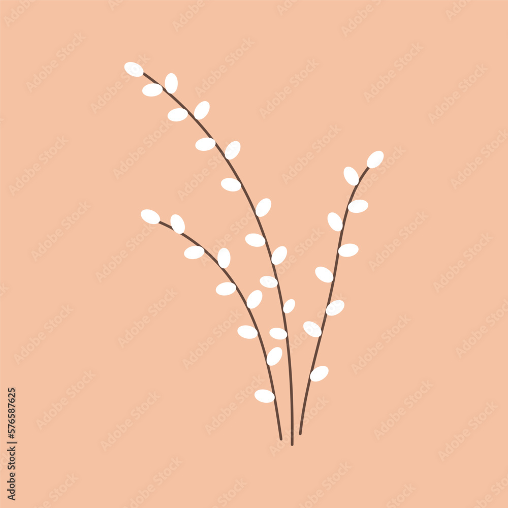 Φωτογραφία Pussy willow branches icon