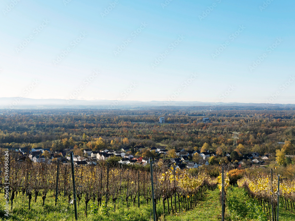 Istein (Efringen-Kirchen), commune allemande du Bade-Wurtemberg entre vignes et bande Rhénane dans le markgräflerland. La vallée du Rhin, le Sundhau et Bâle à l'horizon 