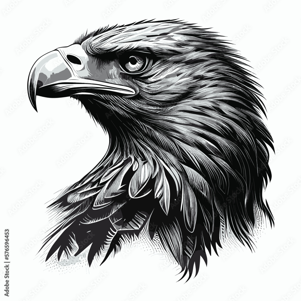 black and white eagle head vector Illustration black and white eagle head vector Illustration