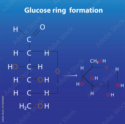 Ring formation of glucose biochemistry anomers of glucose