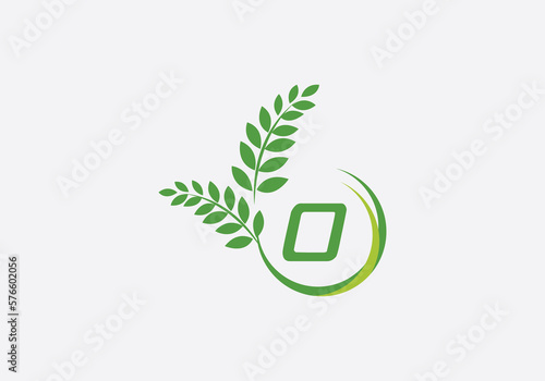 Laurel wreath green leaf logo and Vintage wheat logo design monogram 